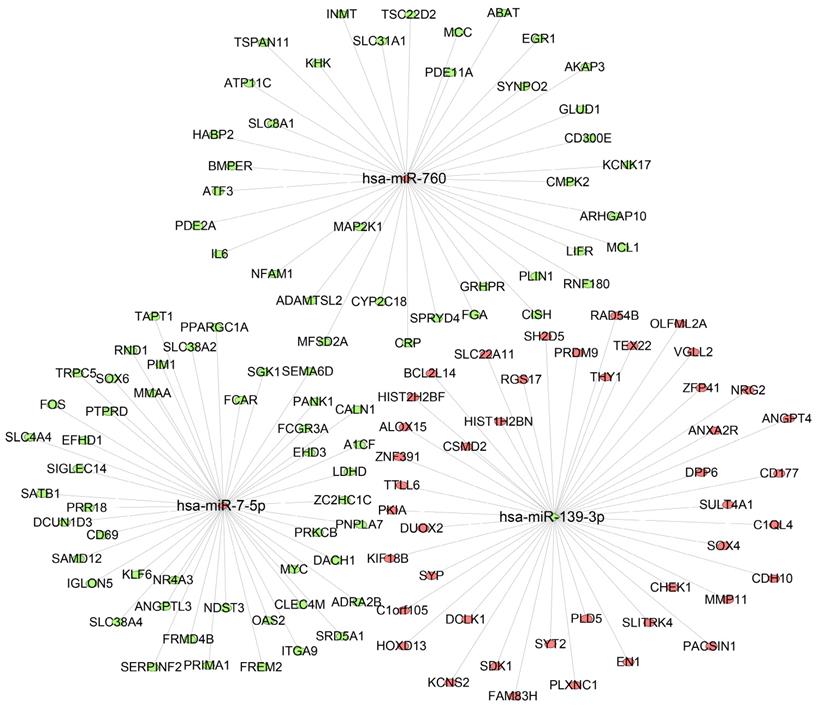 Int J Med Sci Image