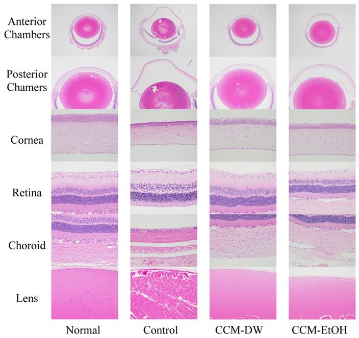 Int J Med Sci Image