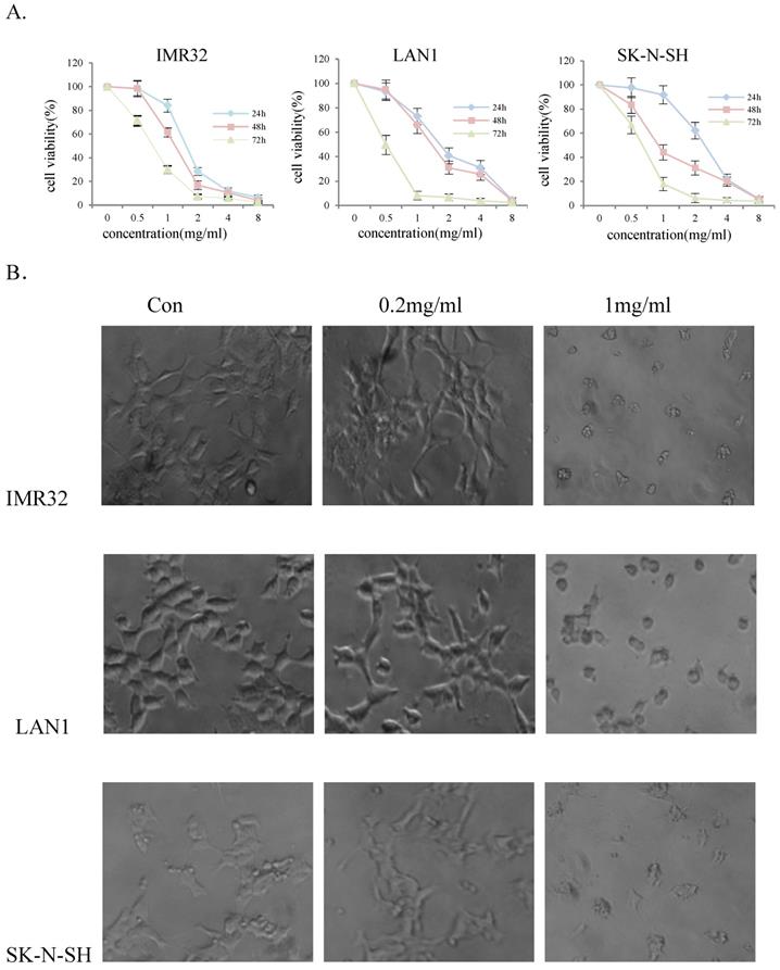 Int J Med Sci Image