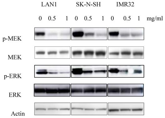 Int J Med Sci Image