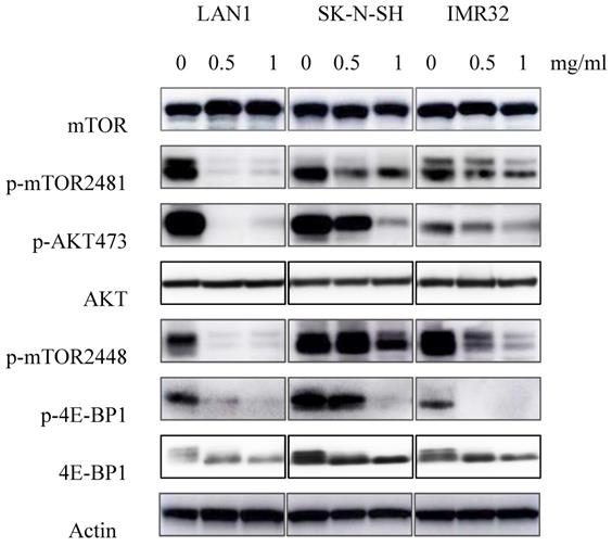 Int J Med Sci Image