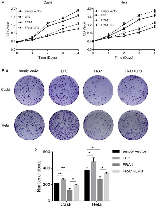 Int J Med Sci Image