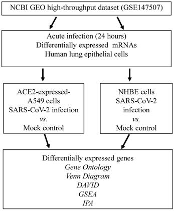 Int J Med Sci Image