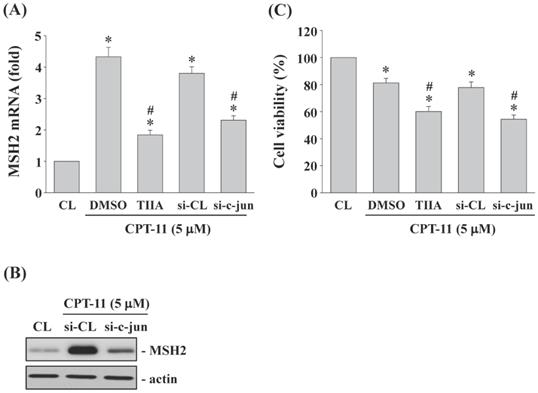 Int J Med Sci Image