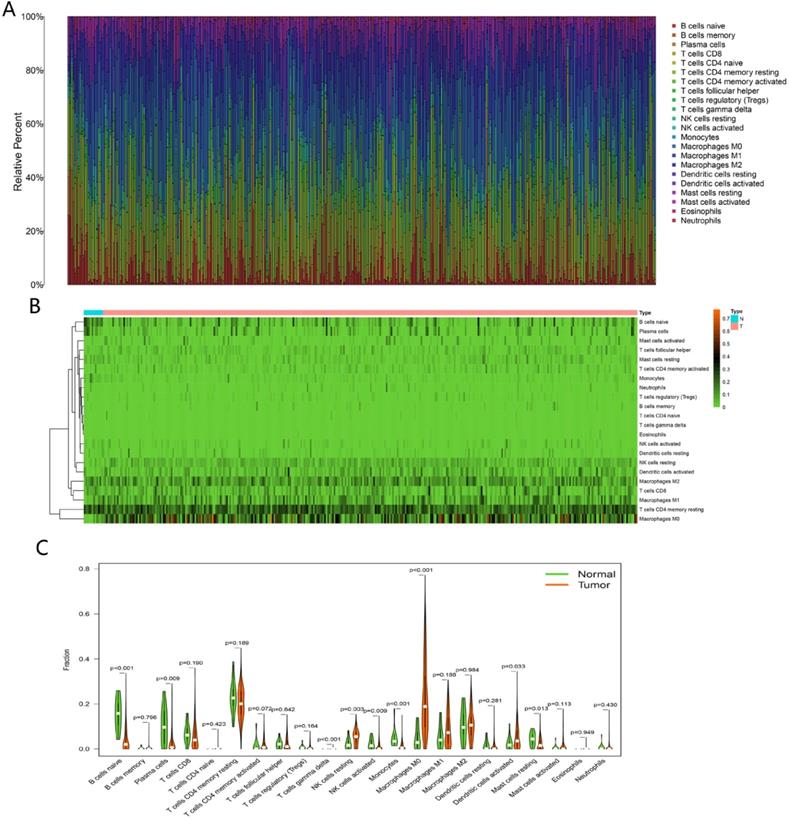 Int J Med Sci Image