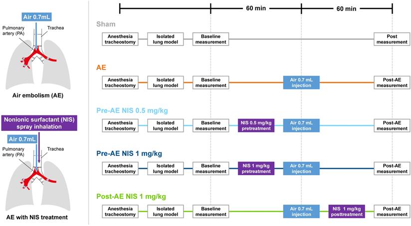 Int J Med Sci Image