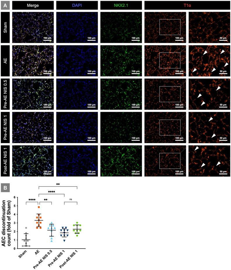 Int J Med Sci Image