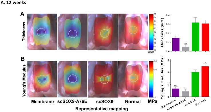 Int J Med Sci Image