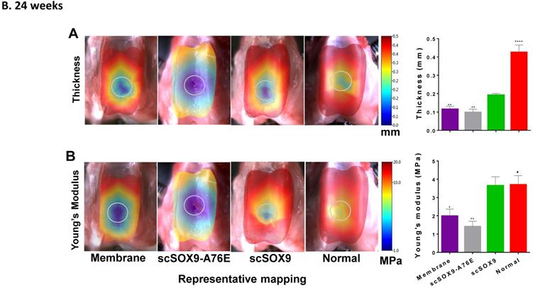 Int J Med Sci Image