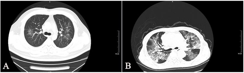 Int J Med Sci Image