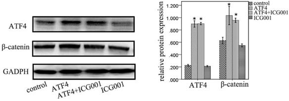 Int J Med Sci Image