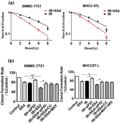 Int J Med Sci Image