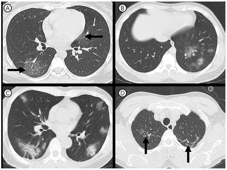 Int J Med Sci Image