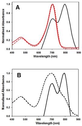 Int J Med Sci Image