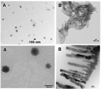 Int J Med Sci Image