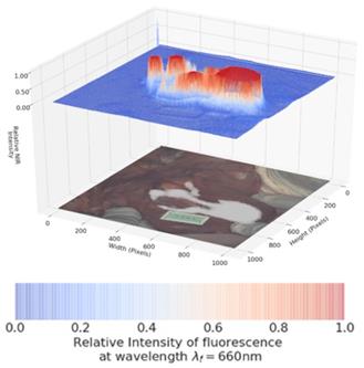 Int J Med Sci Image