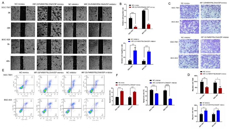 Int J Med Sci Image