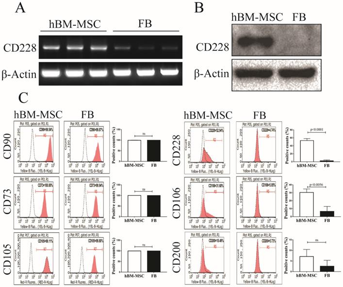 Int J Med Sci Image