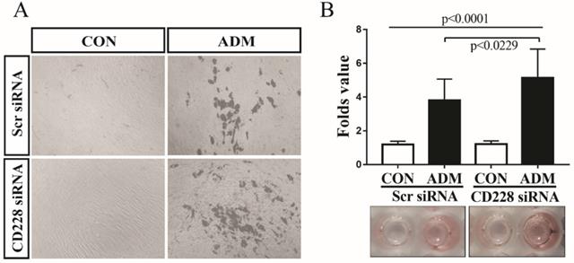 Int J Med Sci Image