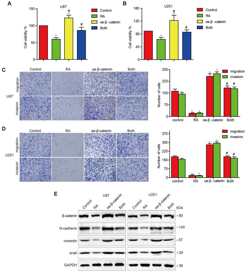 Int J Med Sci Image