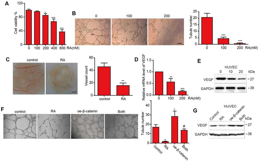 Int J Med Sci Image