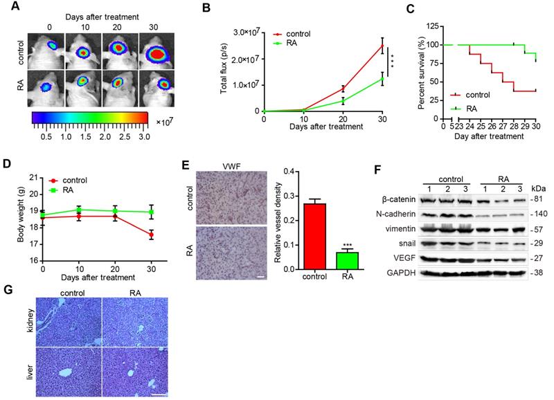 Int J Med Sci Image