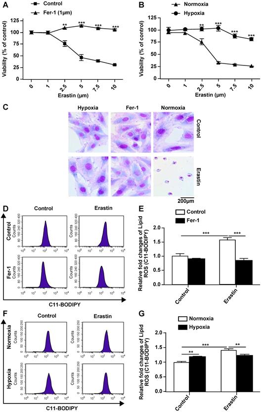 Int J Med Sci Image