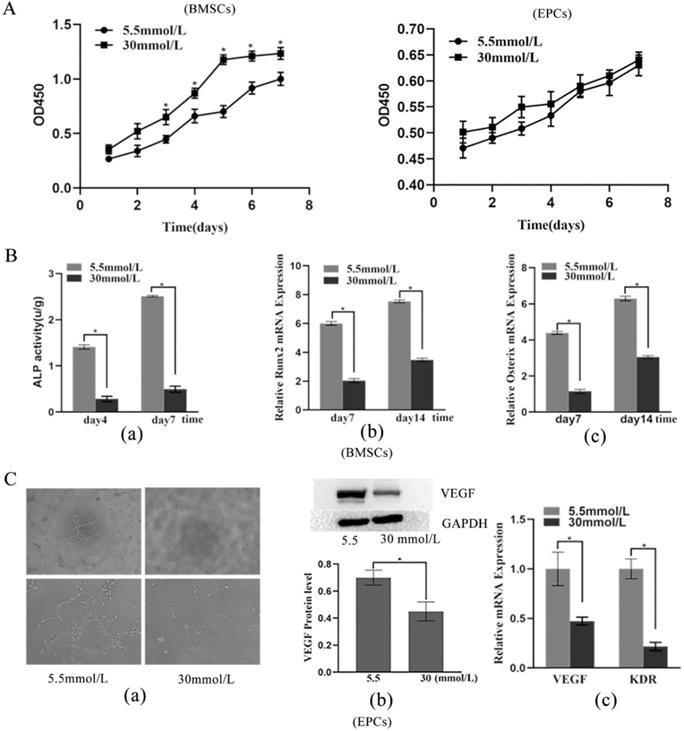 Int J Med Sci Image