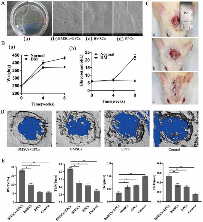 Int J Med Sci Image