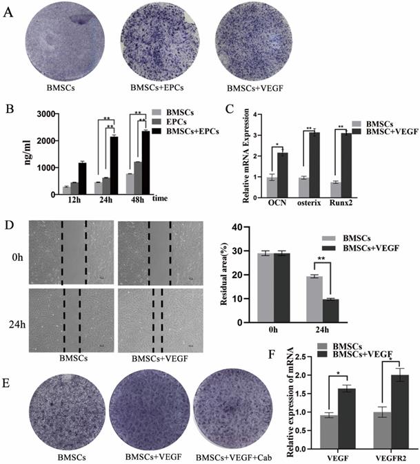 Int J Med Sci Image