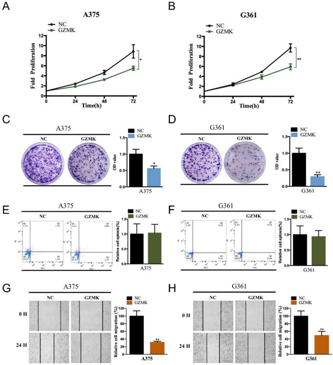 Int J Med Sci Image