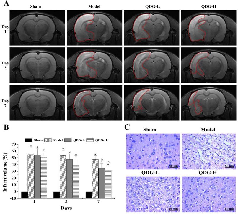 Int J Med Sci Image