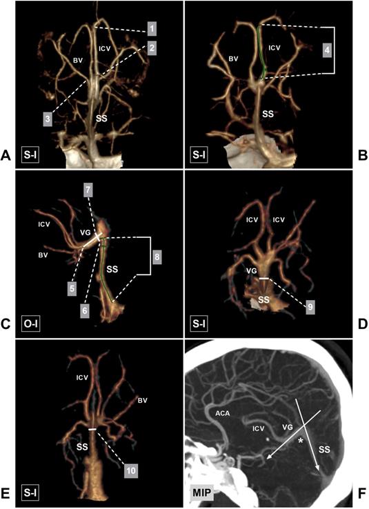 Int J Med Sci Image