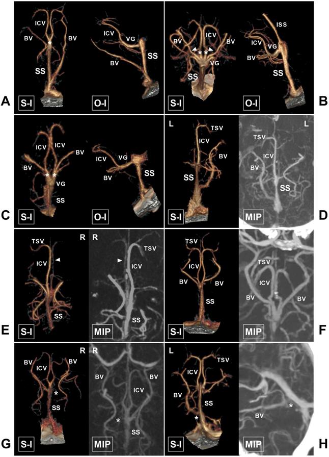 Int J Med Sci Image