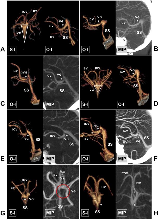 Int J Med Sci Image