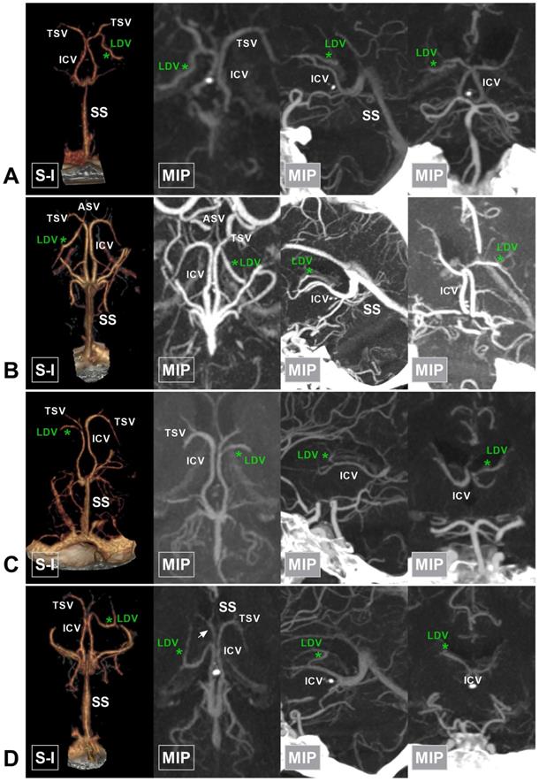 Int J Med Sci Image