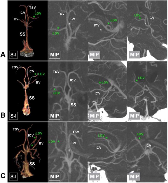 Int J Med Sci Image