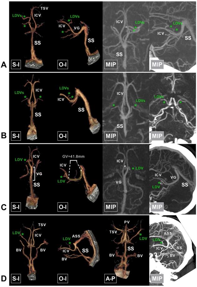 Int J Med Sci Image