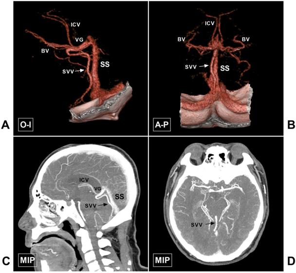 Int J Med Sci Image