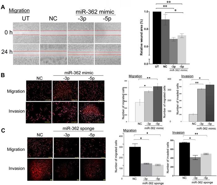 Int J Med Sci Image