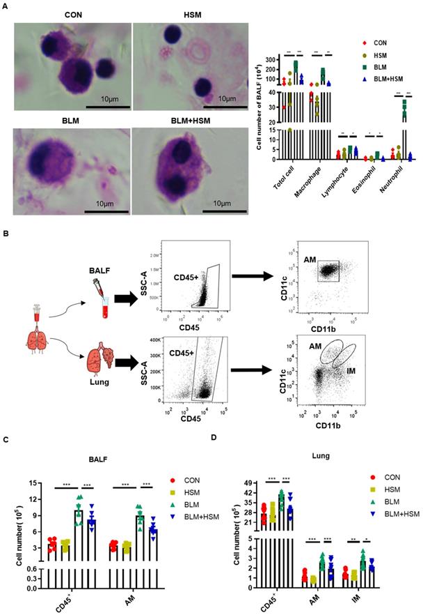 Int J Med Sci Image