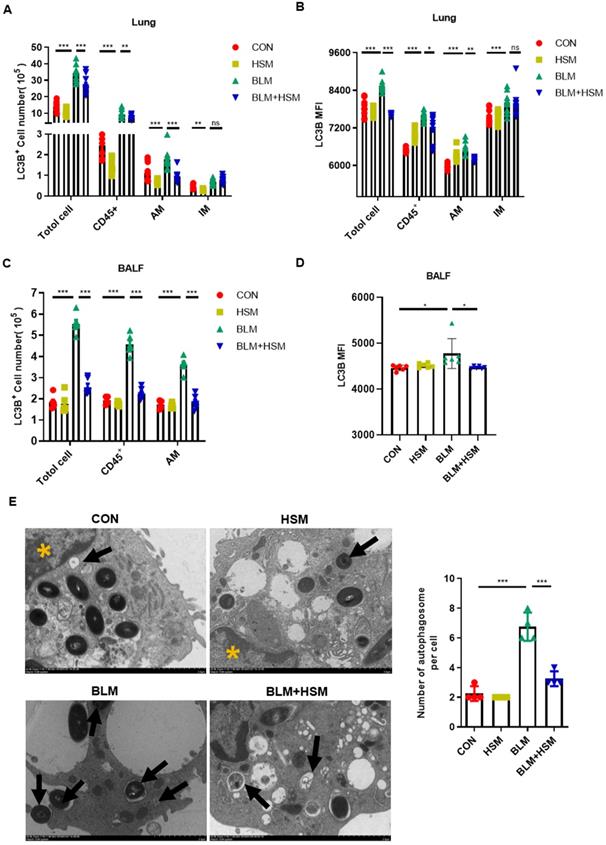 Int J Med Sci Image