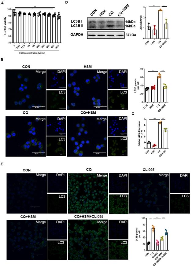 Int J Med Sci Image