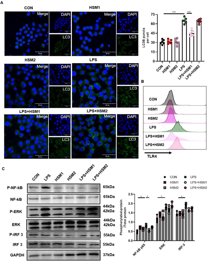 Int J Med Sci Image