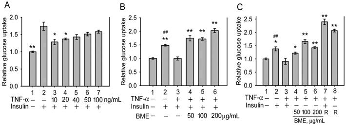 Int J Med Sci Image