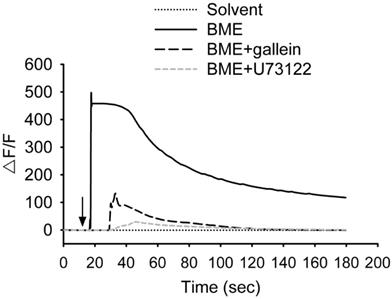 Int J Med Sci Image