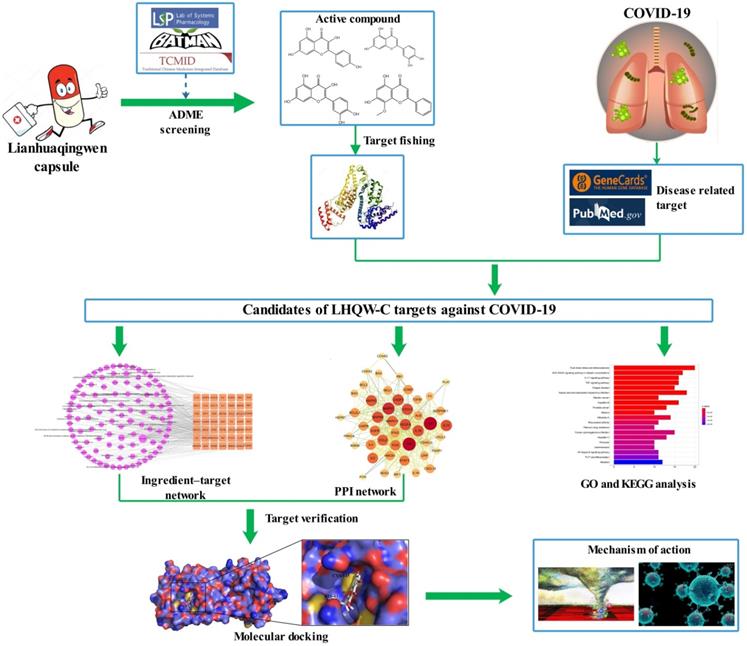 Int J Med Sci Image