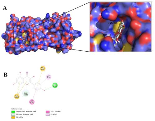 Int J Med Sci Image