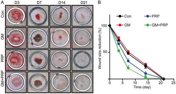 Int J Med Sci Image