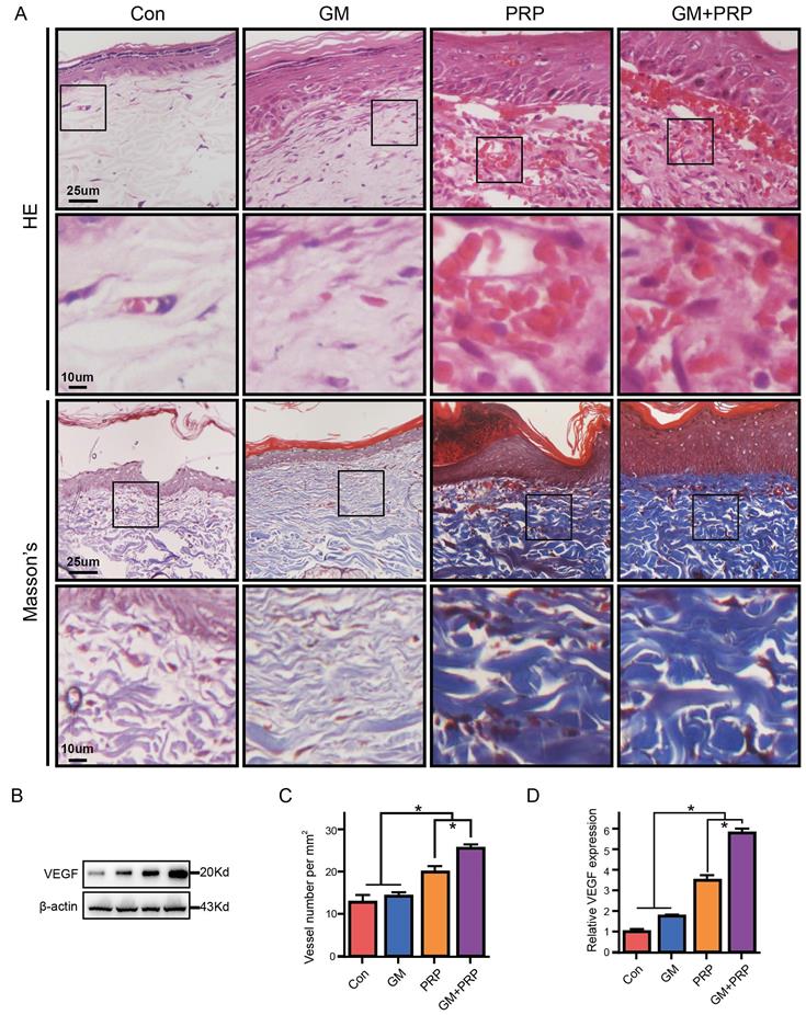 Int J Med Sci Image